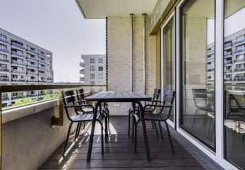 450186-Vorschaubild3