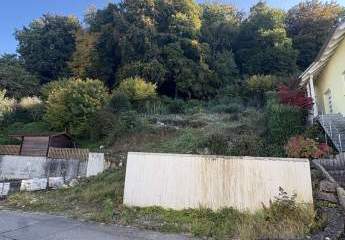 450446-Vorschaubild3