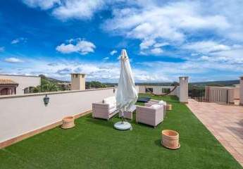 428512-Vorschaubild2