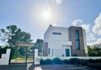 443431-Vorschaubild2