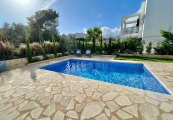 443431-Vorschaubild4