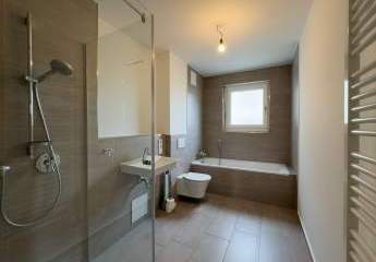 451132-Vorschaubild3