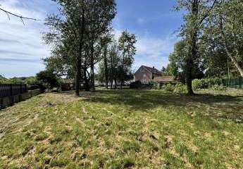 451288-Vorschaubild4