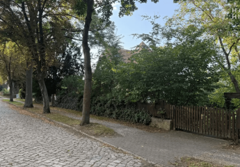 450024-Vorschaubild2