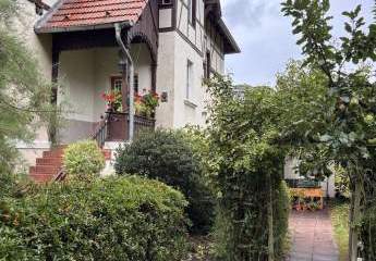 450024-Vorschaubild4