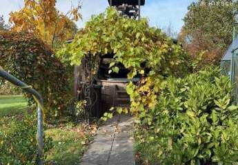 451412-Vorschaubild3