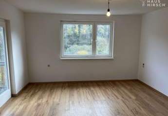 451533-Vorschaubild3