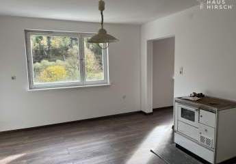 451533-Vorschaubild4