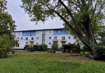 449572-Vorschaubild2