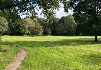 452590-Vorschaubild4