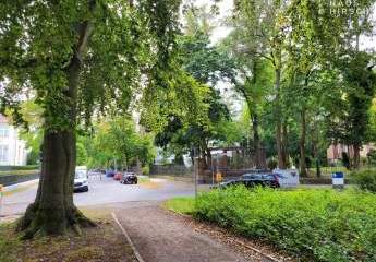 426331-Vorschaubild3