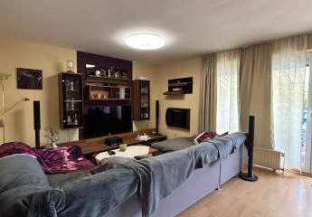 449103-Vorschaubild3