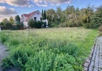 449105-Vorschaubild2