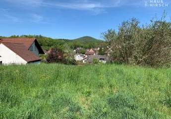 418726-Vorschaubild2