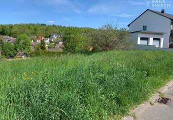 418726-Vorschaubild3