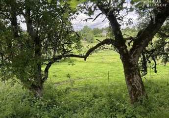 453773-Vorschaubild4