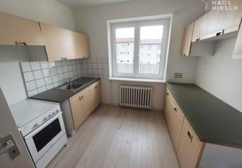 449318-Vorschaubild4