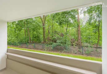 453966-Vorschaubild2