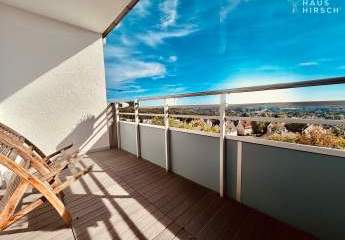 450078-Vorschaubild2