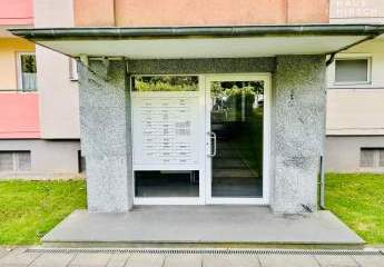 450078-Vorschaubild3