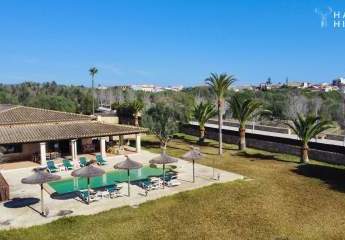 454165-Vorschaubild2