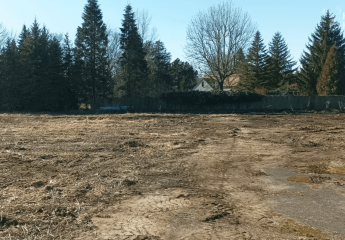 454181-Vorschaubild4