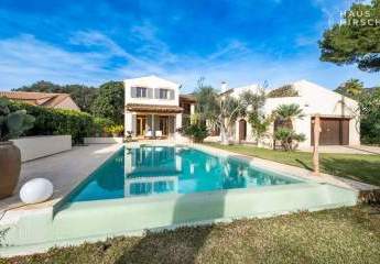 454184-Vorschaubild4