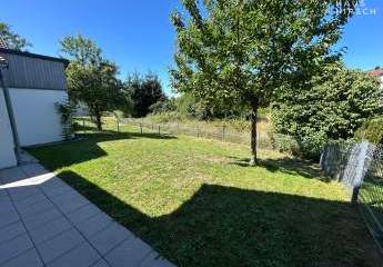 439932-Vorschaubild3