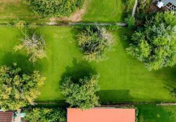 454446-Vorschaubild2