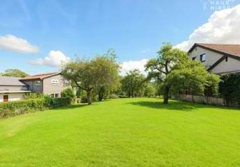 454446-Vorschaubild4