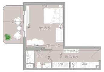 454605-Vorschaubild2