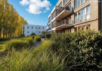 456063-Vorschaubild3