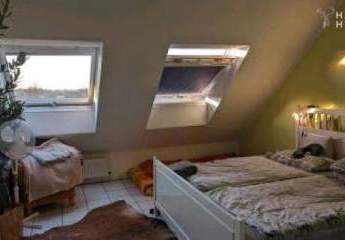 456163-Vorschaubild4