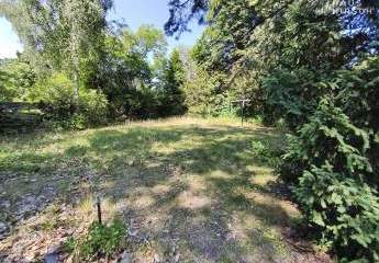 428919-Vorschaubild2