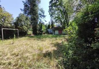 428919-Vorschaubild3