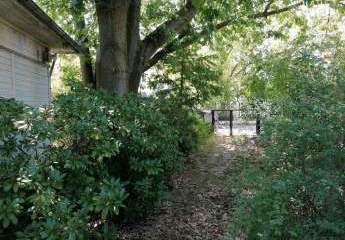 428919-Vorschaubild4