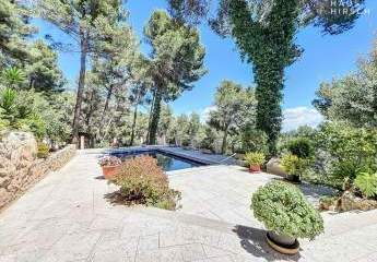 448440-Vorschaubild2