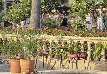 456191-Vorschaubild3