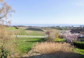 456479-Vorschaubild4