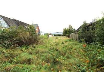 450255-Vorschaubild2