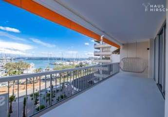 456595-Vorschaubild2