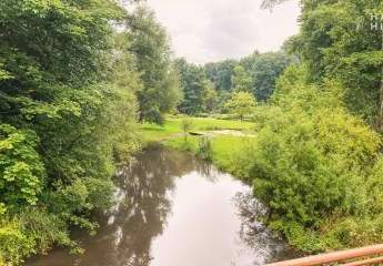 456600-Vorschaubild3