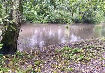 456600-Vorschaubild4