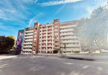 456698-Vorschaubild2