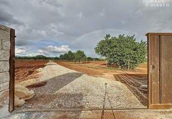 447479-Vorschaubild2