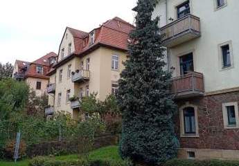 456964-Vorschaubild4