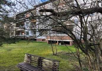 442684-Vorschaubild3