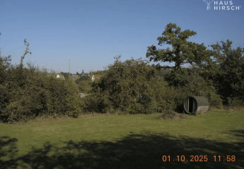 457377-Vorschaubild2