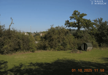 457377-Vorschaubild2