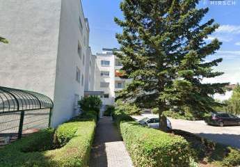 457691-Vorschaubild4